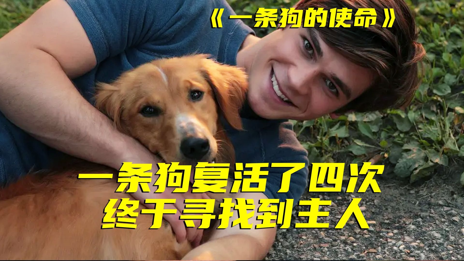 恶意煽情？不！它生来就是为了陪伴你！没条件不能看的电影，不然他会打乱你的生活计划