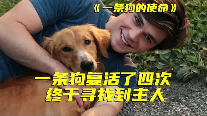恶意煽情？不！它生来就是为了陪伴你！没条件不能看的电影，不然他会打乱你的生活计划