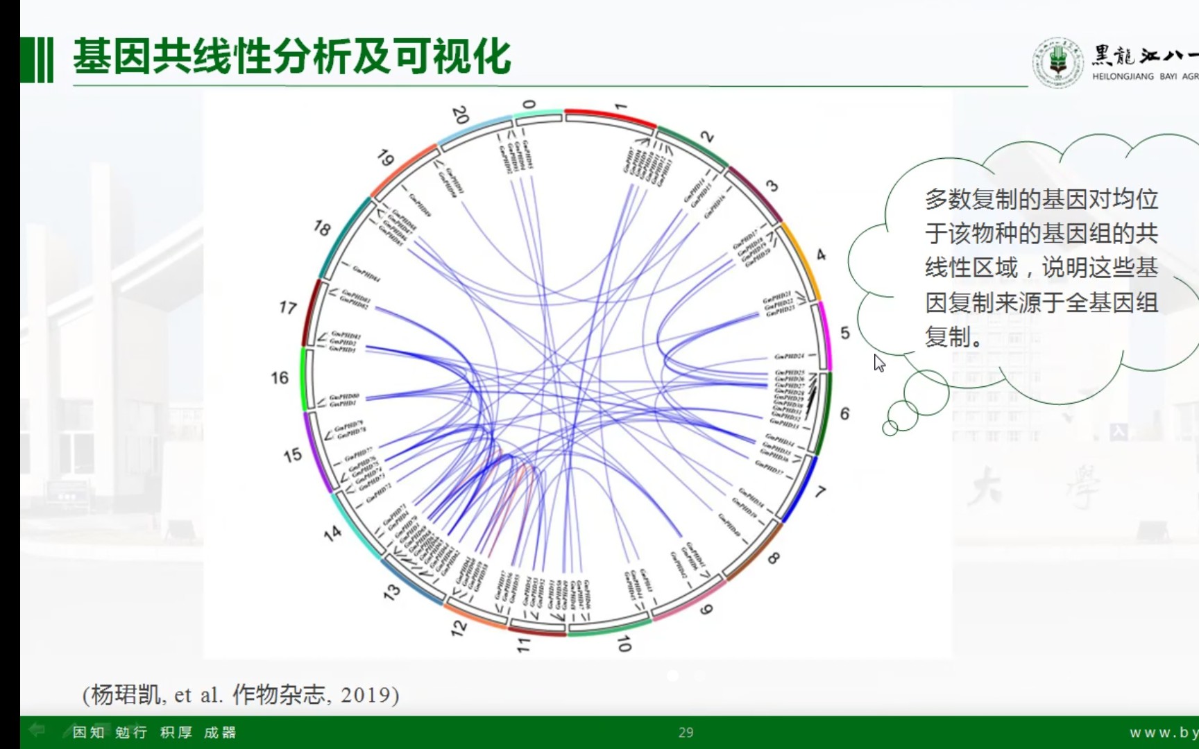 基因圈图制作方法哔哩哔哩bilibili