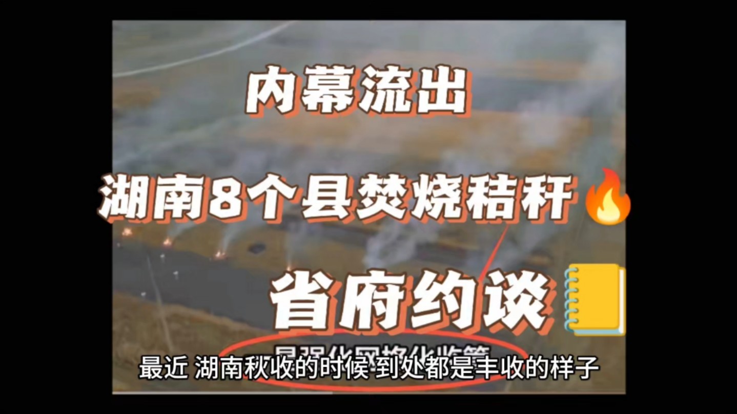 闹大了!湖南八县焚烧秸秆引省府严肃约谈,网络舆论反响热烈.哔哩哔哩bilibili