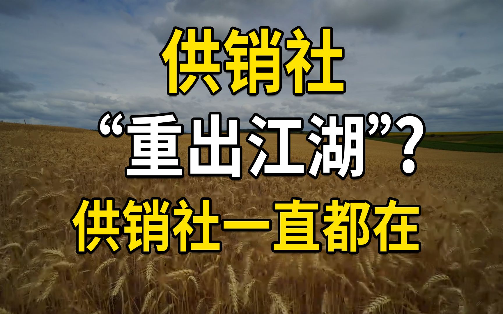 供销社“重出江湖”?其实供销社一直都在哔哩哔哩bilibili