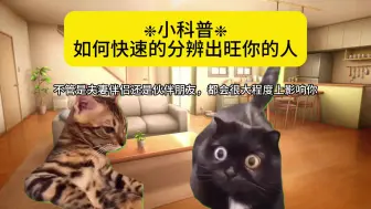 Download Video: 【猫meme】如何分辨旺你的人？