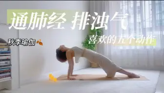 Descargar video: 节气瑜伽｜通肺经，排浊气，肺好皮肤hao的五个动作