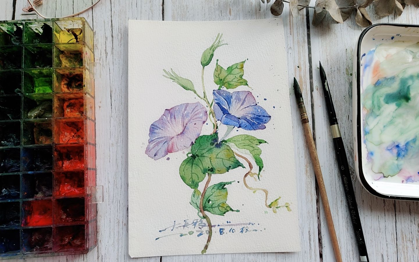 【水彩】绘牵牛花 /水彩上色教程