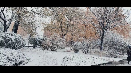 瀋陽下雪啦!好大的雪!嘩啦啦