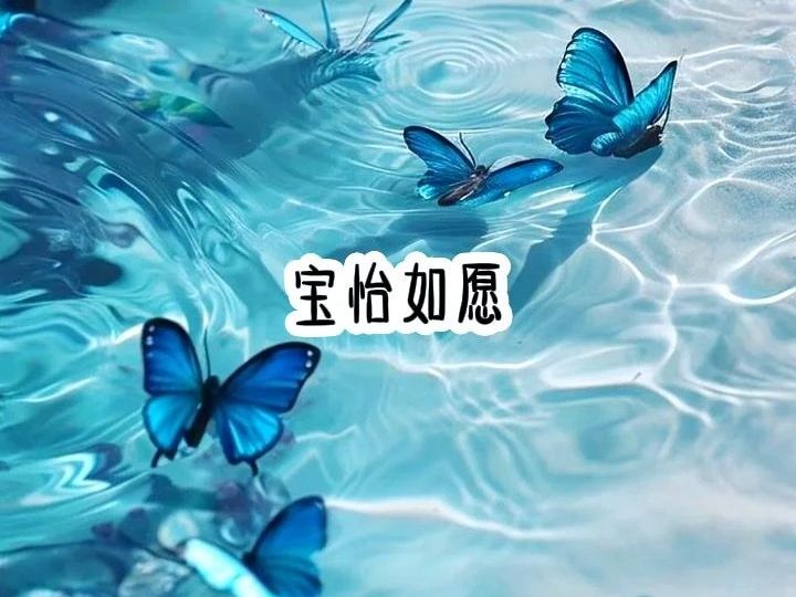 宝怡如愿哔哩哔哩bilibili