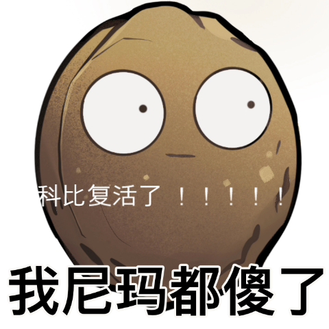 极品少罗登场