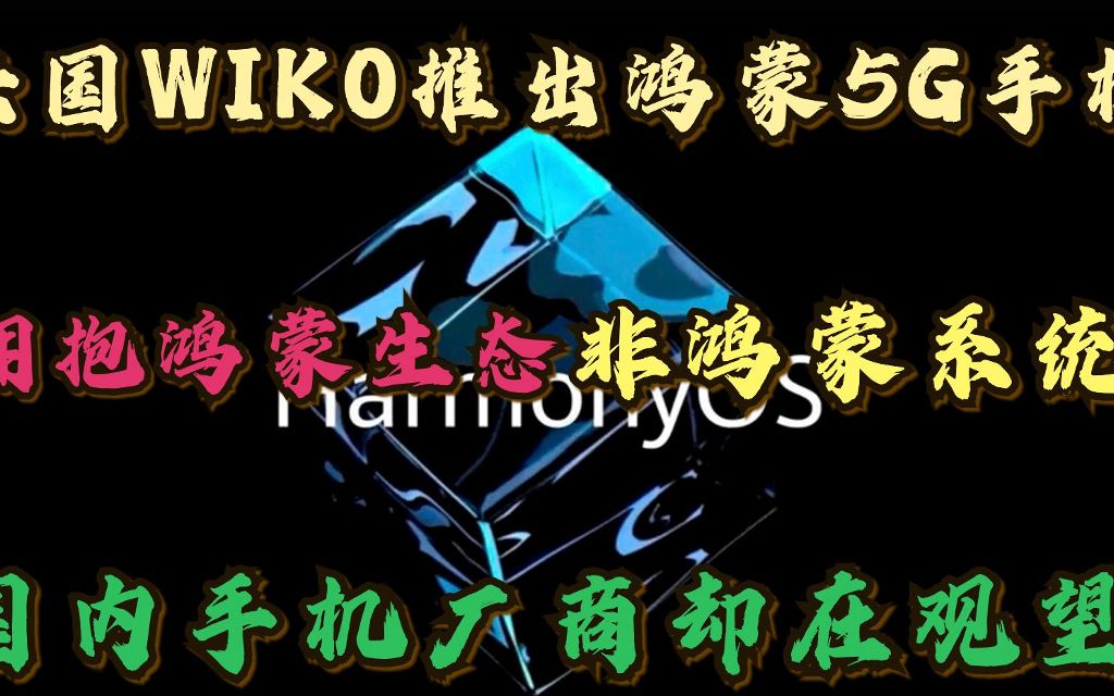 法国WIKO推出鸿蒙5G手机,积极拥抱鸿蒙生态,国内厂商却在观望哔哩哔哩bilibili