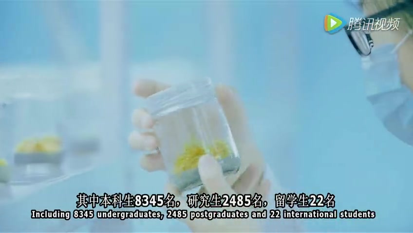 沈阳药科大学(2016)哔哩哔哩bilibili