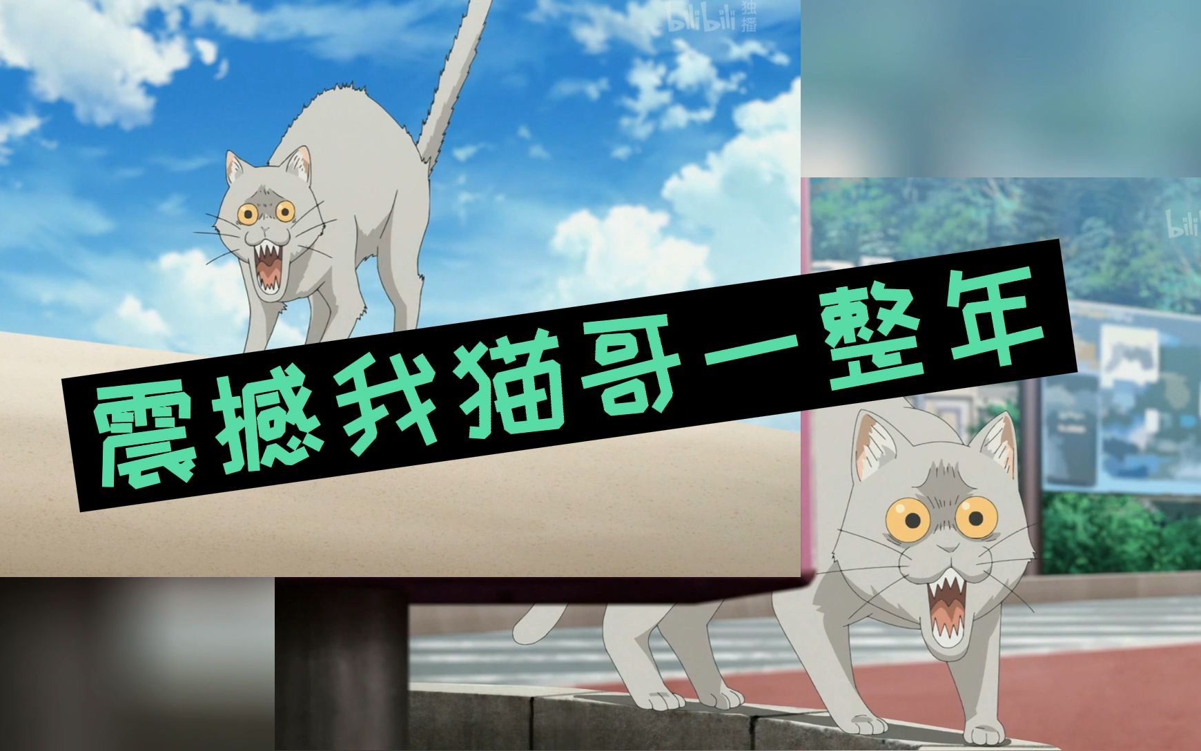 宇崎学妹震撼我猫哥一整年
