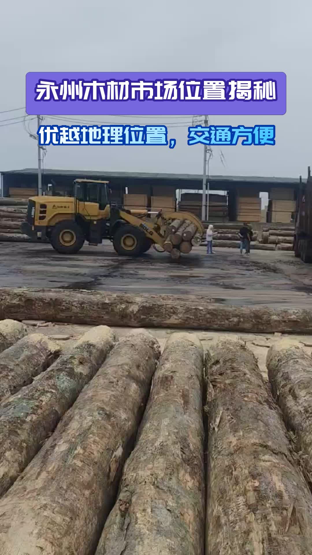 福建木材市场风云录：绿色发展的新航向