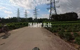 Télécharger la video: 石马桃花园，这要是花季，那得多美