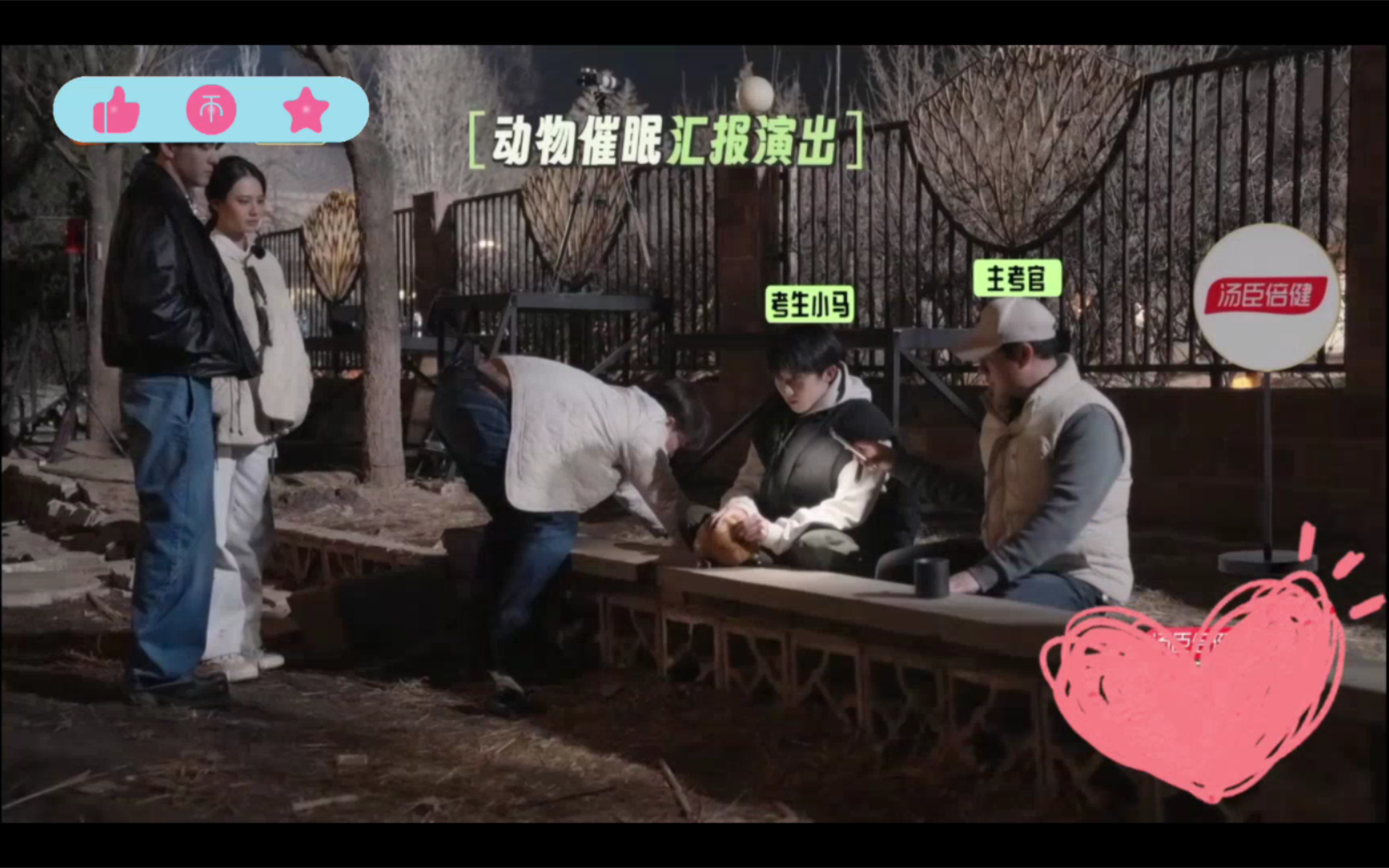 【灿烂的花园】"马杀鸡"鸡是被催眠了还是怕被杀啊 这手法跟我家杀鸡