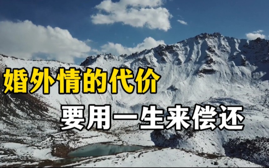 永远不要出轨,婚外情的代价, 需要用一生去偿还!哔哩哔哩bilibili