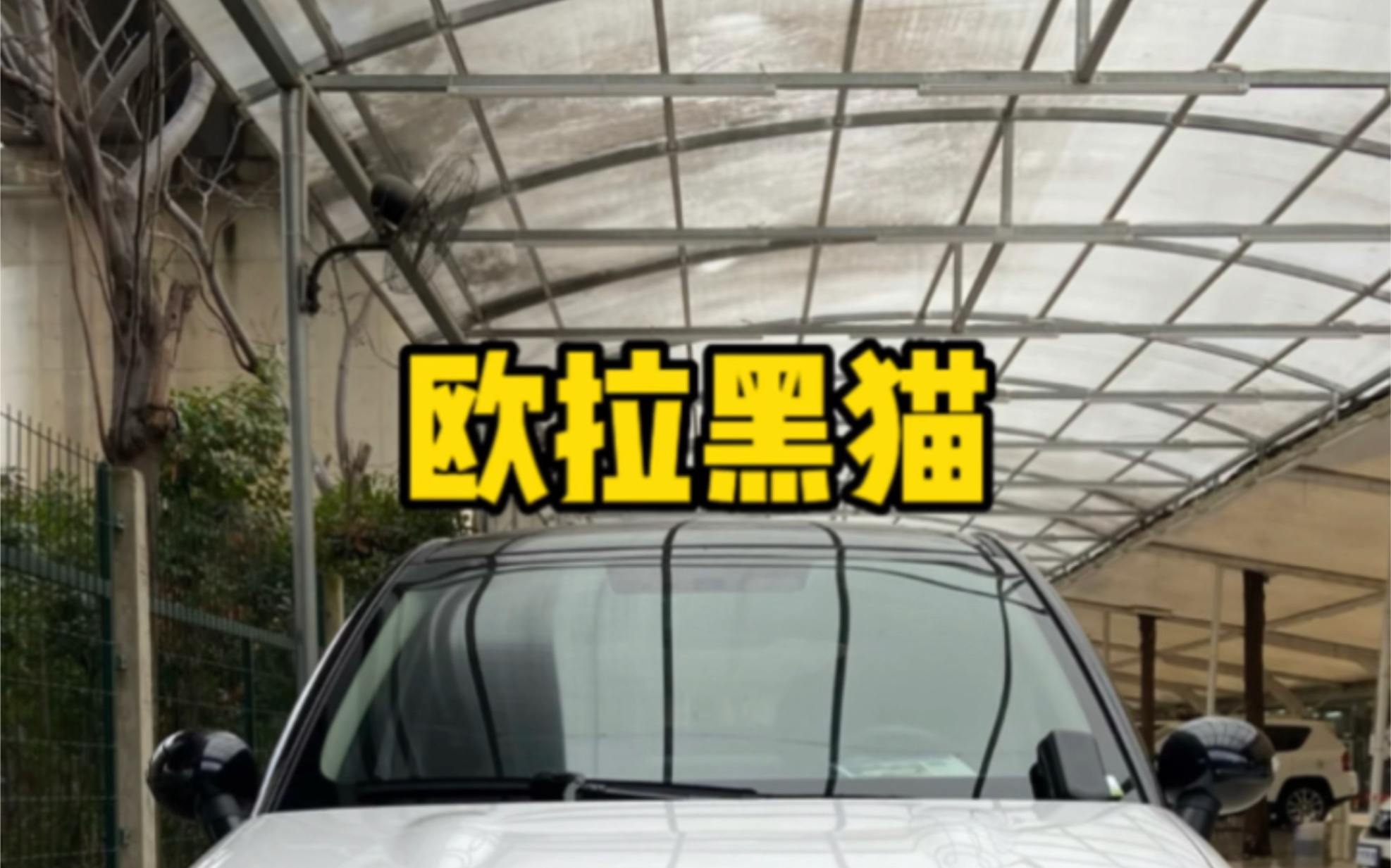 在武汉21款2021年上牌欧拉黑猫351km标准型现在还能值多少哔哩哔哩bilibili