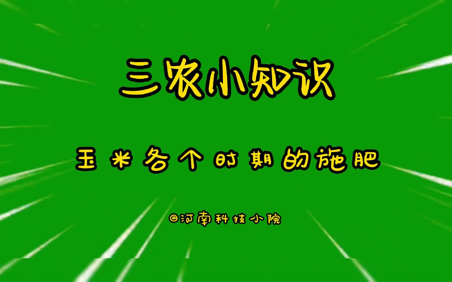 【三农小知识】玉米各个时期的施肥哔哩哔哩bilibili