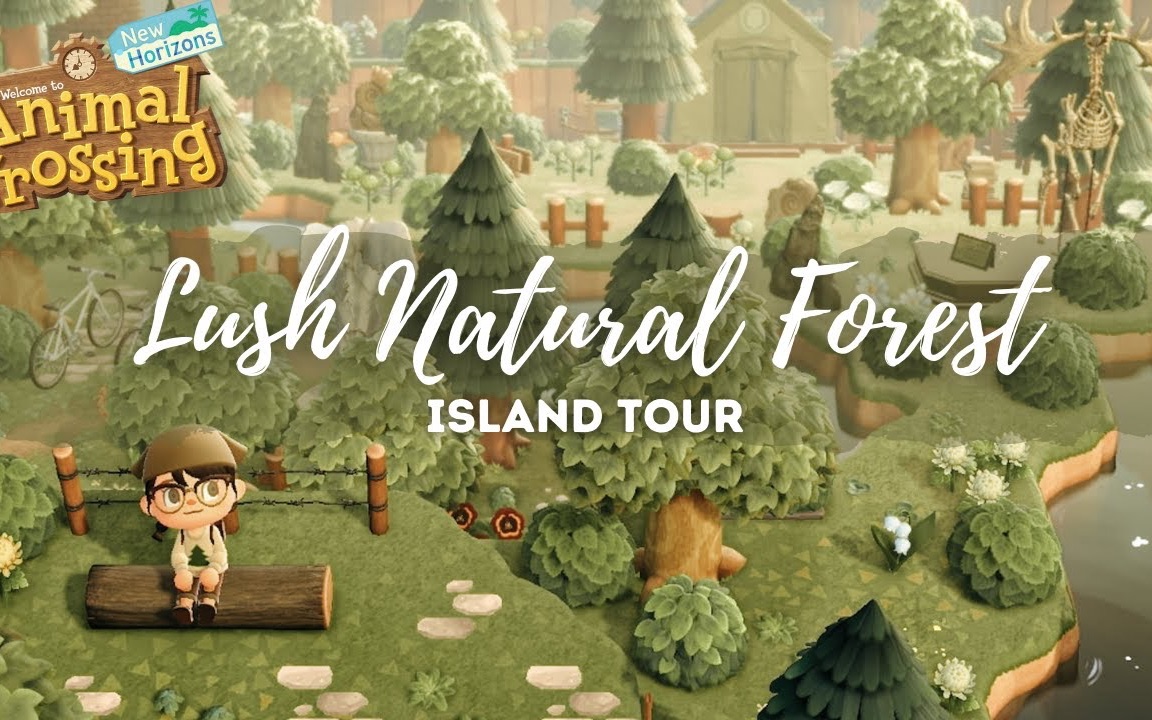 动森色彩协调的茂盛自然森林lushnaturalforestislandtouranimal