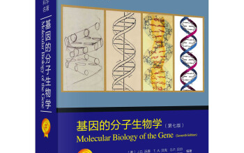 [图]【23届武汉大学生物学考研专业课15天带背计划】-【885分子生物学】-【武汉大学生命科学学院-医学研究院-基础医学院-高等研究院】