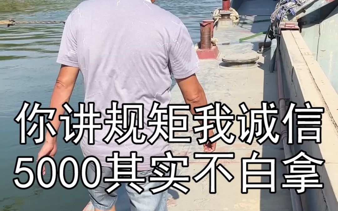 【内河船】跑船也讲究个规矩和诚信:行情每天都在变,但有些东西不能变!#船旺 #内河航运哔哩哔哩bilibili