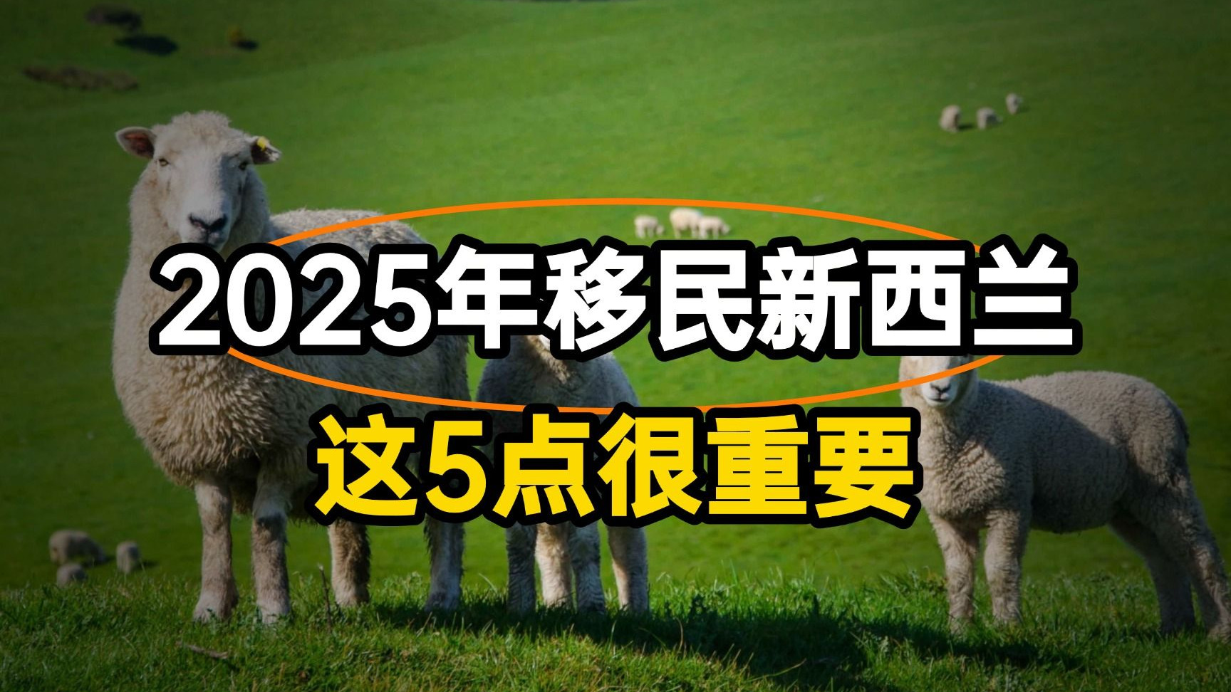 2025年移民新西兰,这5点没做到很难成功!