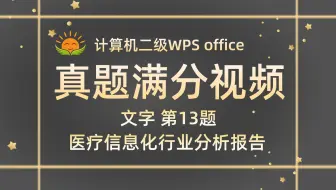 【新题出炉】【文字第13题】医疗信息化行业分析报告【2025年3月新增】计算机二级WPS Office