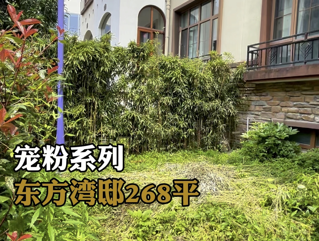 万万没想到东方湾邸别墅在2024年也扛不住了.