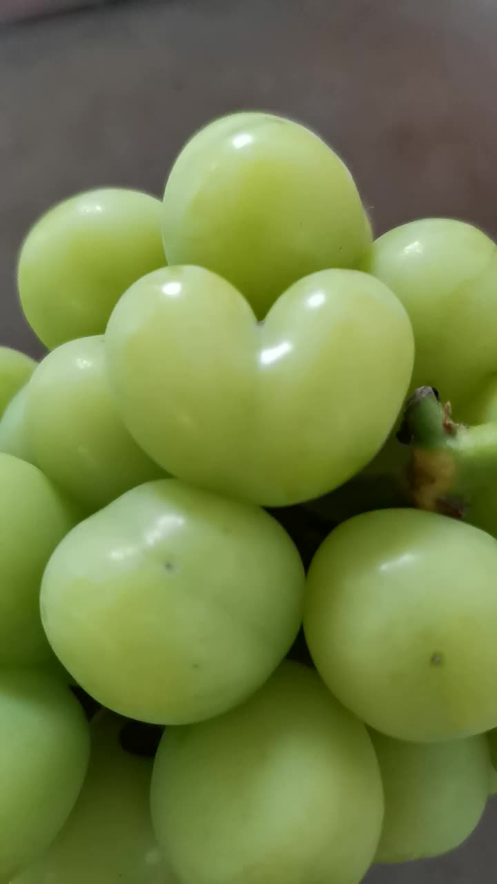 非常罕见的心型葡萄