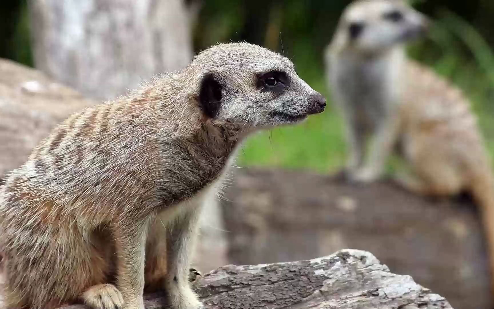 孟德尔随机化方法-2