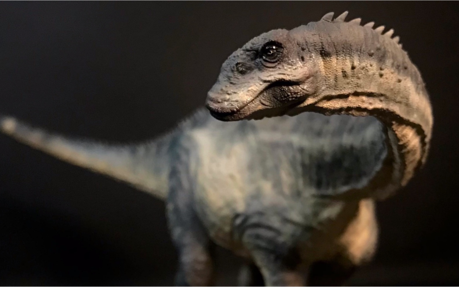 国龙.1:35蜀龙gk涂装.