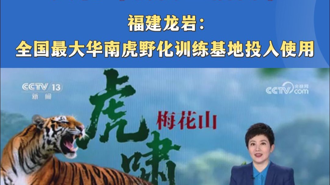 最新疫情最新消息新闻报道龙岩(龙岩疫情实时)