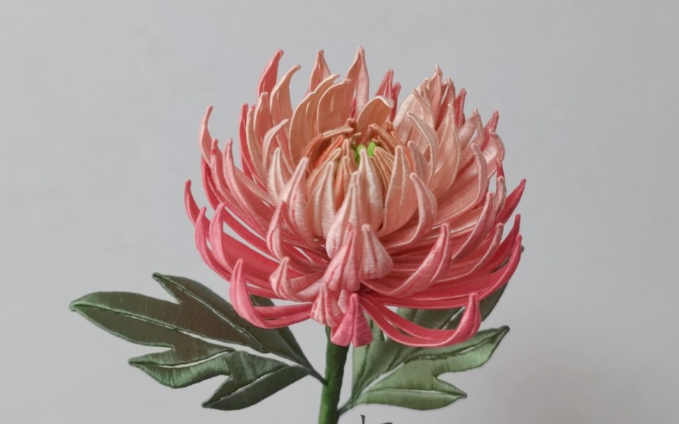 【栖迟阁】缠花菊花