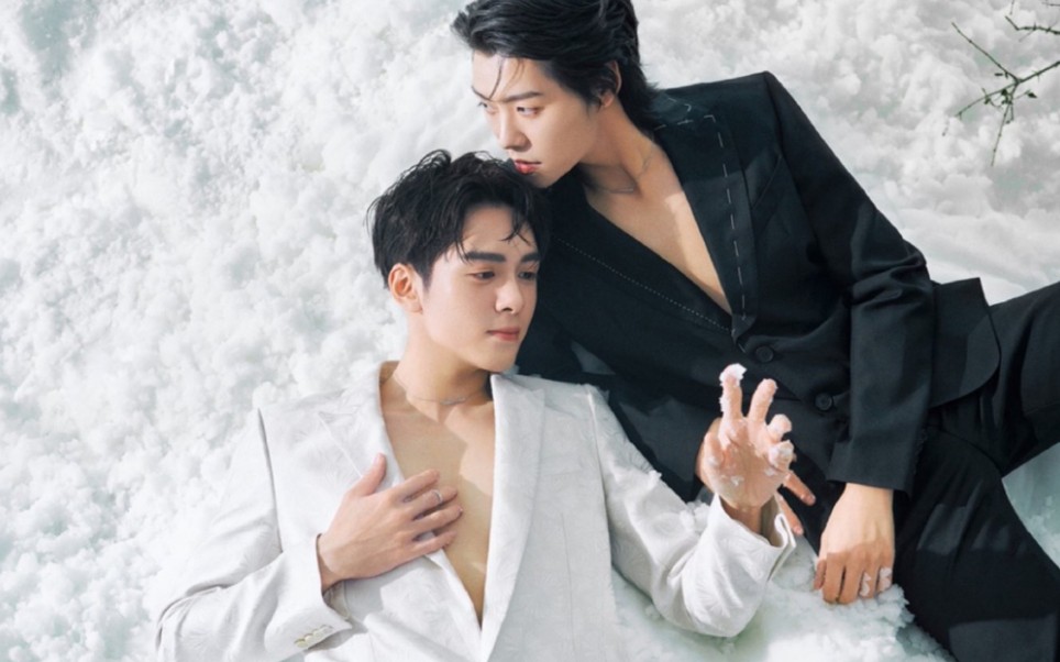 【宇日俱曾】时尚芭莎 费加罗高清无水印合集(自留)