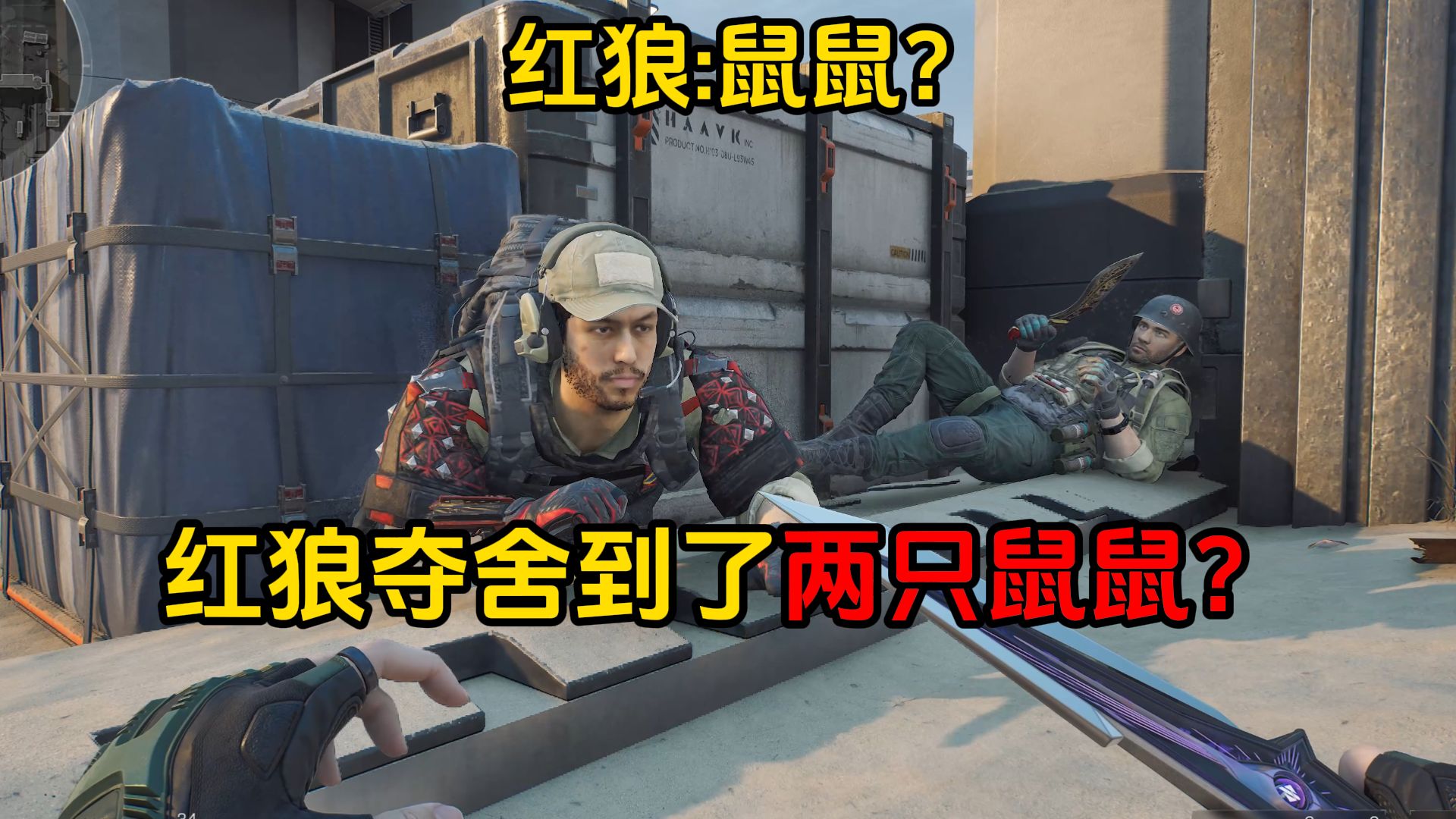 你说红狼夺舍了两只鼠鼠？