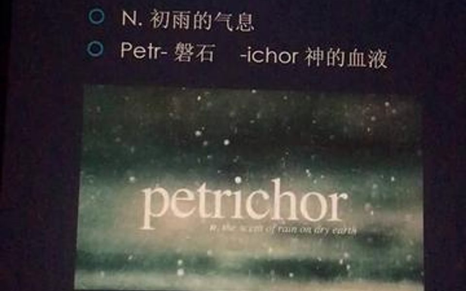 Petrichor 这大概是我最喜欢的单词了.𐟌篸哔哩哔哩bilibili