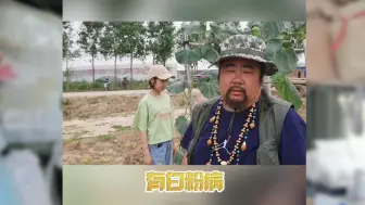 Download Video: 惊现？葫芦叶上惊现白点点，看葫芦爷爷如何防治！