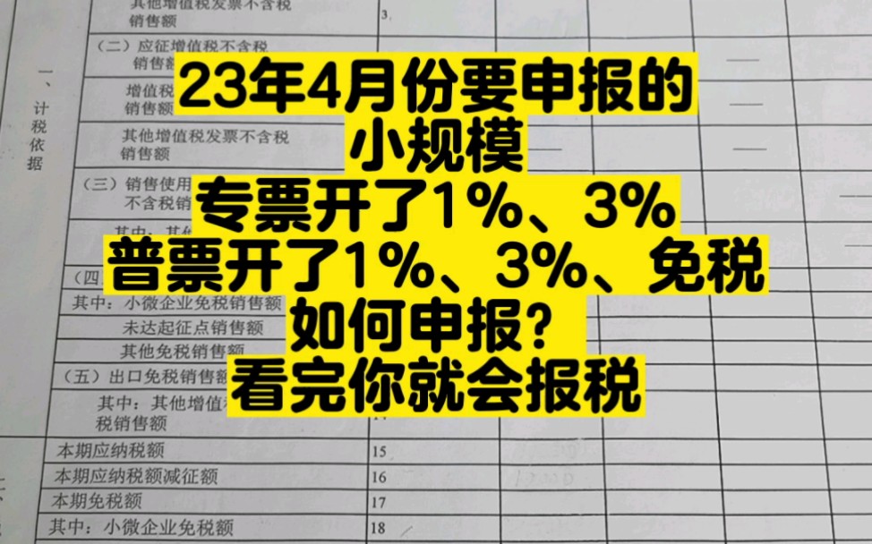 23年4月份小规模纳税人申报流程哔哩哔哩bilibili