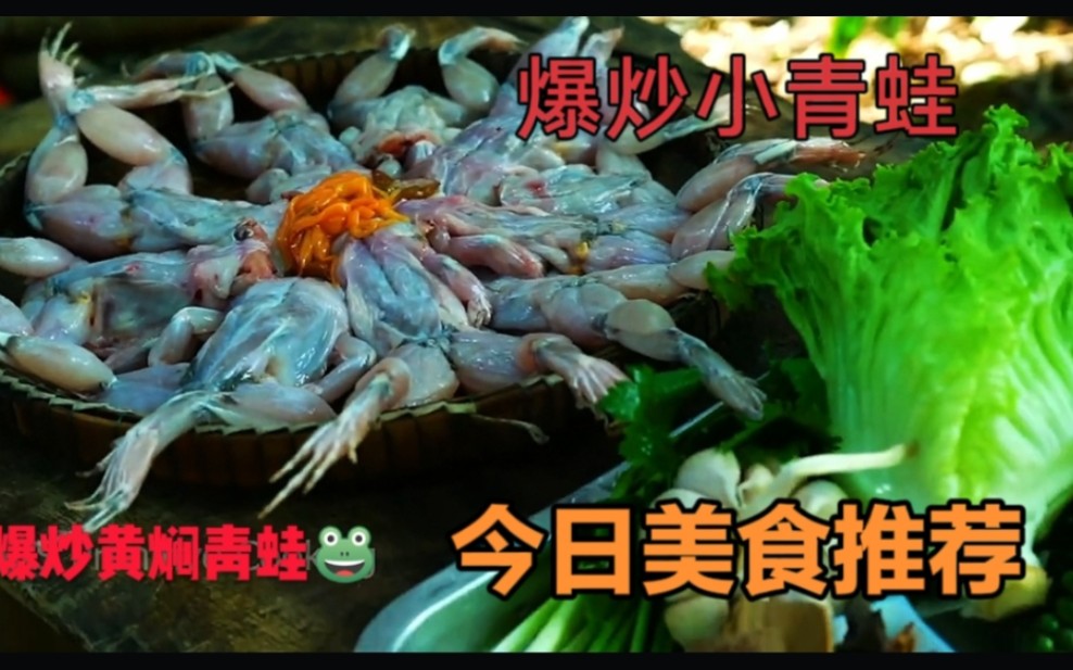 美食的诱惑,黄焖爆炒小青蛙,一口一个太过瘾了哔哩哔哩bilibili