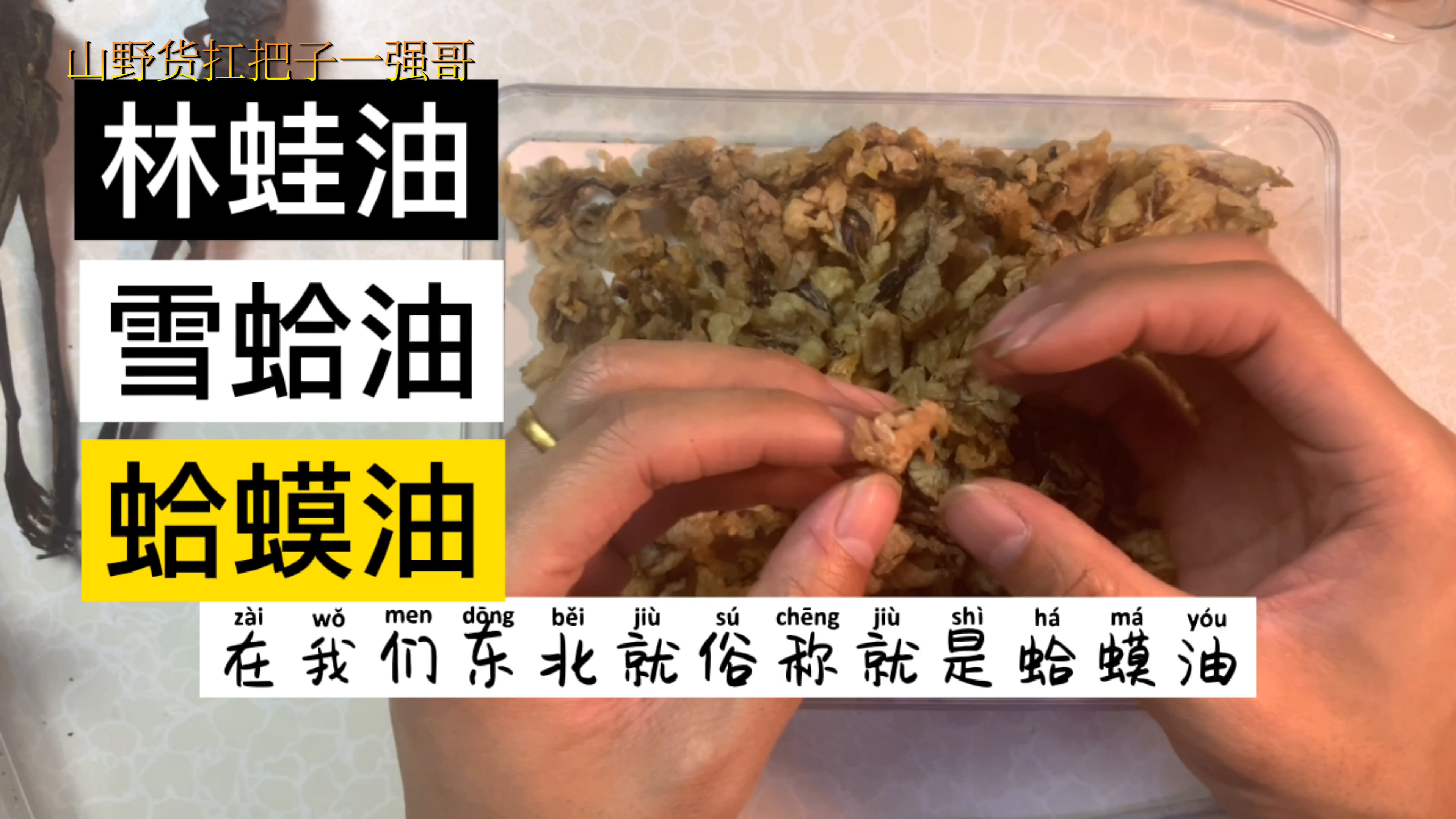 [图]广东人最爱的北方美食，上千元一斤的蛤蟆油，他们都叫它雪蛤