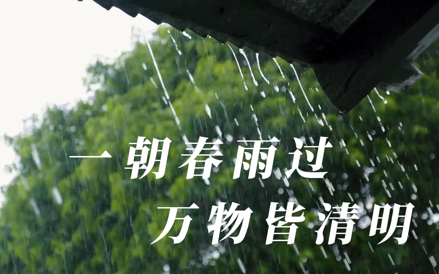 [图]一朝春雨过 万物皆清明