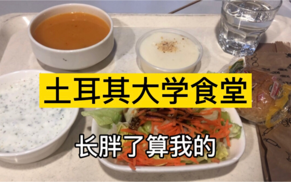 土耳其私立贵族大学食堂 晚饭十元套餐!沙拉汤甜点酸奶安排到位!哔哩哔哩bilibili