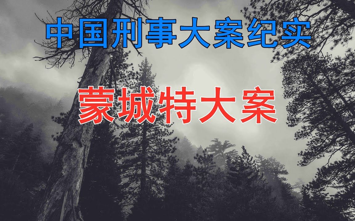 [图]蒙城特大案 - 中国刑事大案纪实 - 刑事案件要案记录