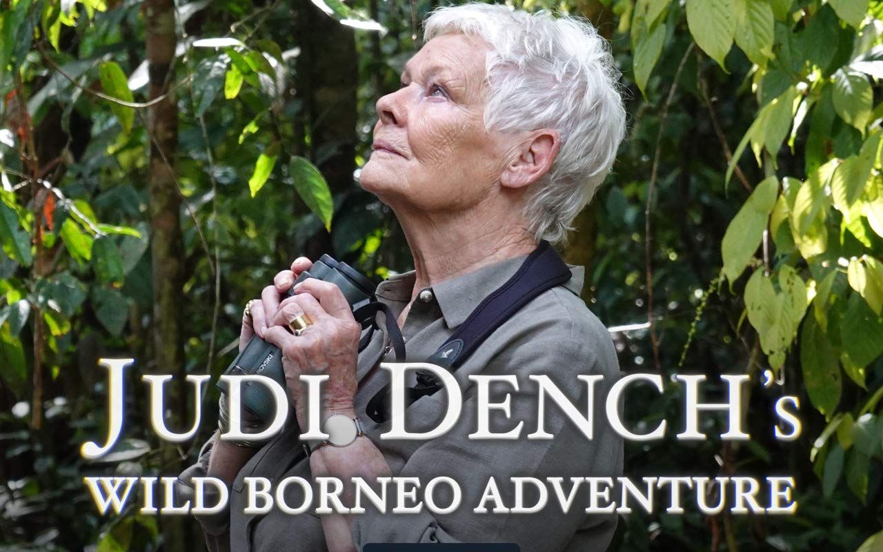 朱迪ⷮŠ丹奇:婆罗洲狂野奇遇 Judi Dench's Wild Borneo Adventure哔哩哔哩bilibili