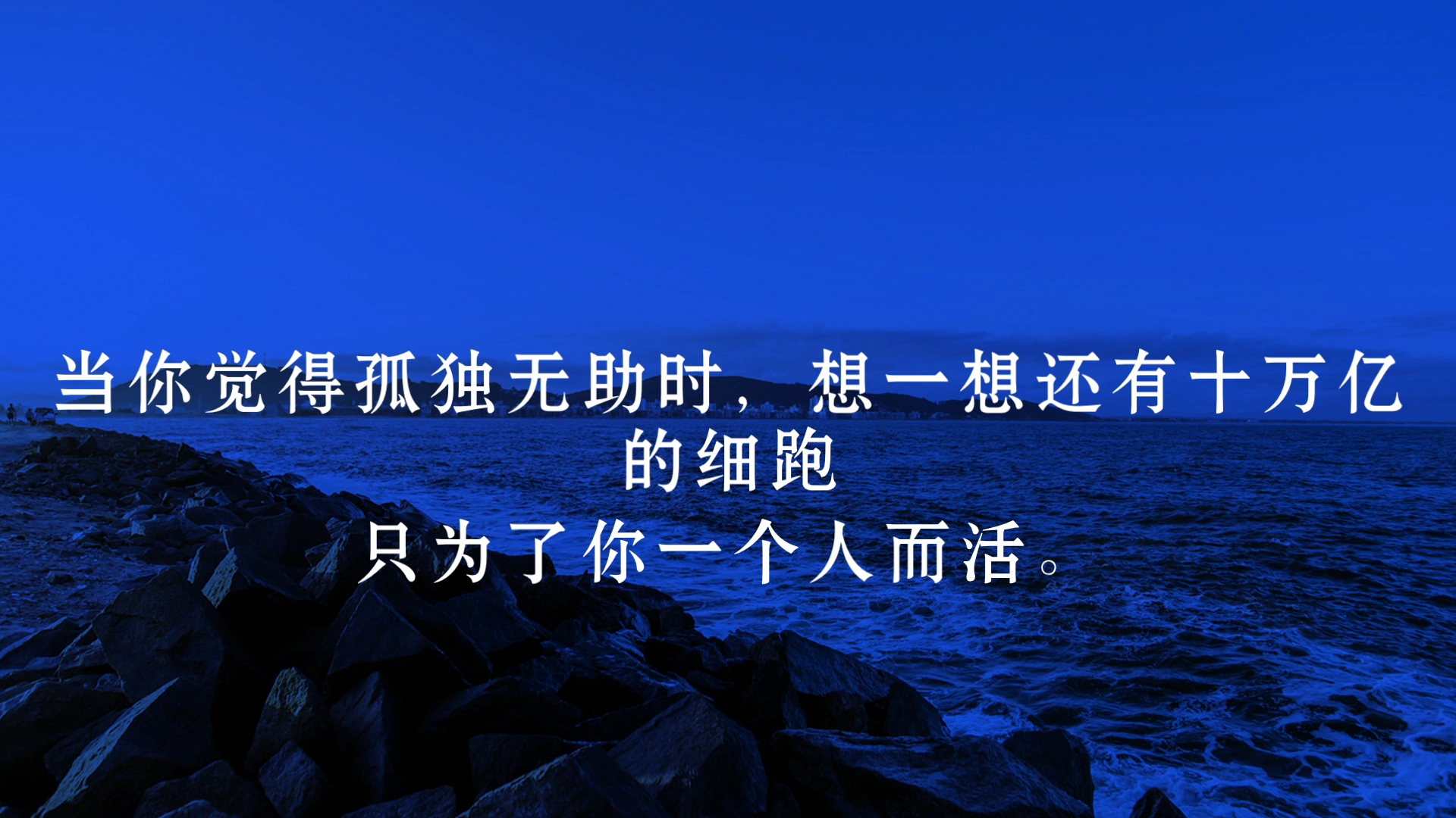 【励志语录】当你觉得孤独无助时,想一想还有十万亿的细跑只为了你一