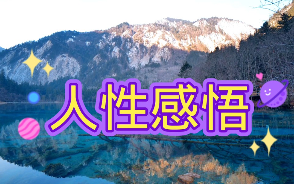 人性感悟,要找好自己的位置