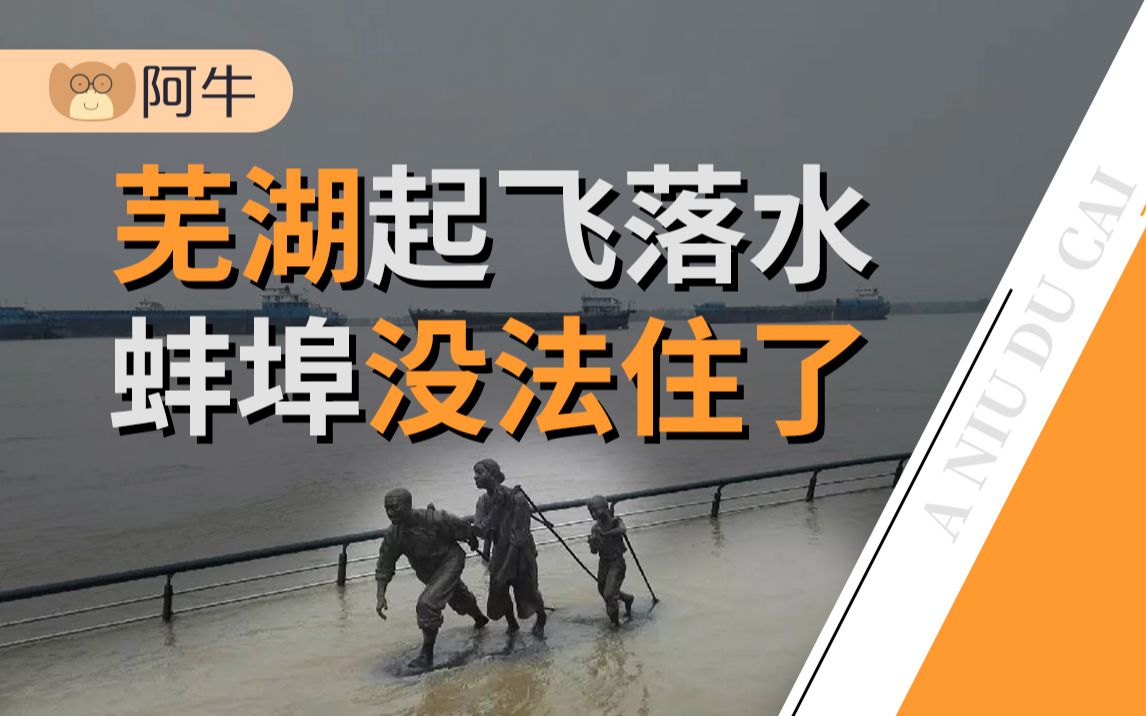 【阿牛】因为穷所以就要当泄洪区?安徽的牺牲不应该被歧视!哔哩哔哩bilibili