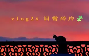 Download Video: 【vlog26台山日常碎片】