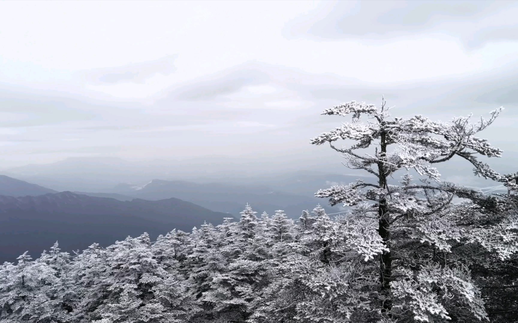 峨眉山金顶初雪
