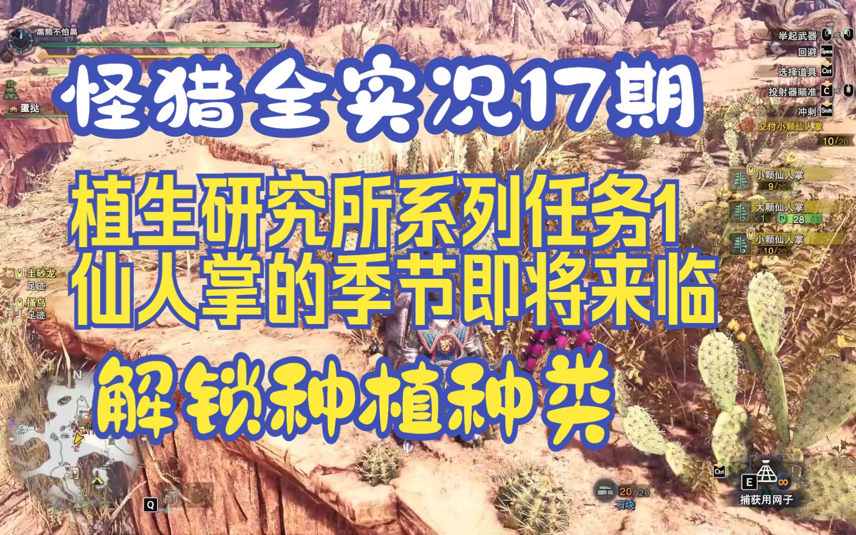 【黑熊/怪物猎人世界加冰原全剧情流程实况解说新手教程】第17期,植生研究所系列任务1,仙人掌的季节即将来临,解锁种植种类怪物猎人新手教程