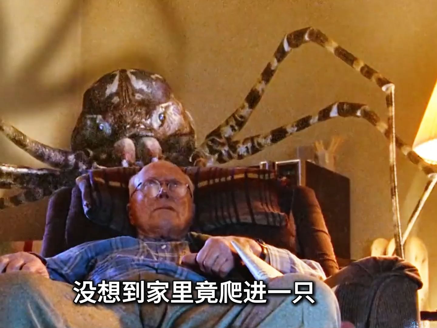 居民夏天夜晚不爱关窗,家里竟爬进了巨型变异蜘蛛