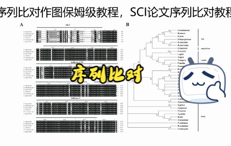 利用MEGA和GeneDoc软件进行序列比对并作图.哔哩哔哩bilibili